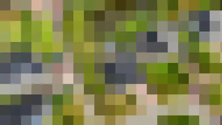Dopheide 36 Heerenveen thumbnail 35