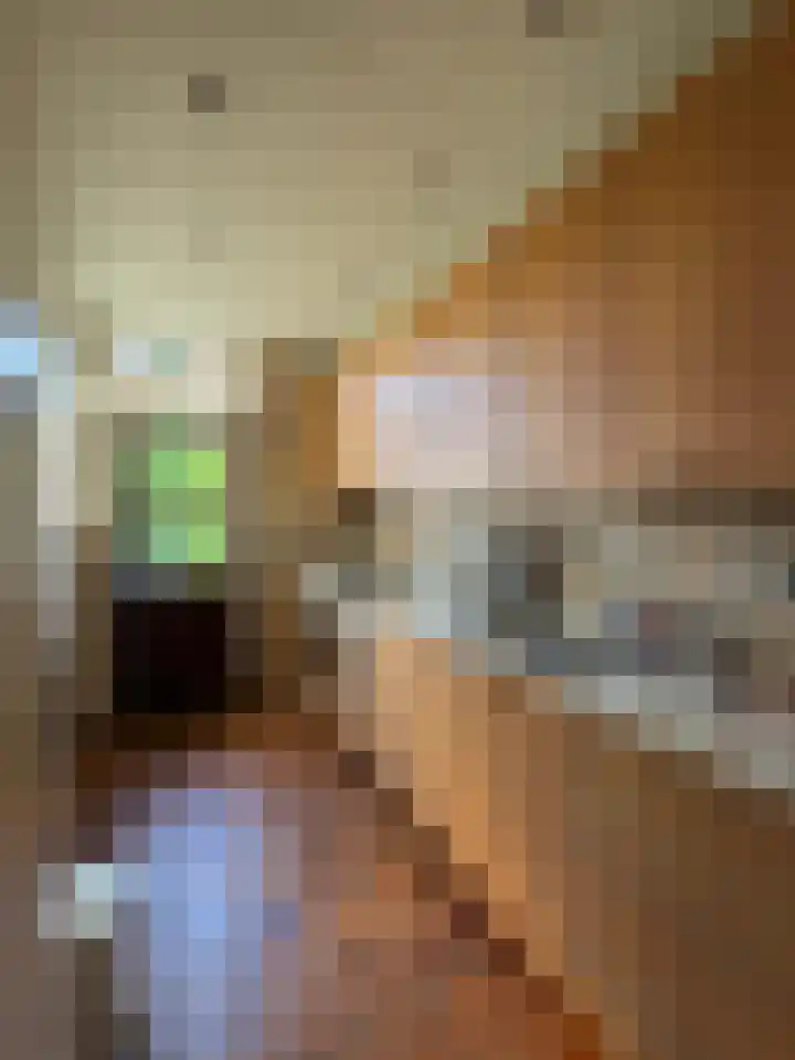 Dopheide 36 Heerenveen thumbnail 36