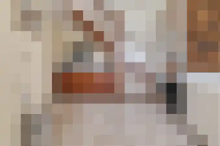 Dopheide 36 Heerenveen thumbnail 37