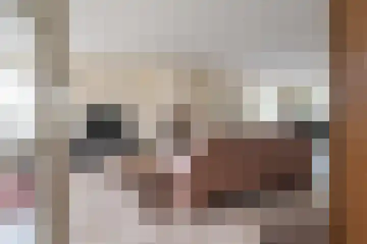 Dopheide 36 Heerenveen thumbnail 38