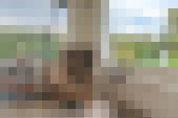 Dopheide 36 Heerenveen thumbnail 50