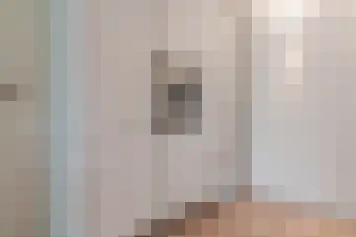 Dopheide 36 Heerenveen thumbnail 53