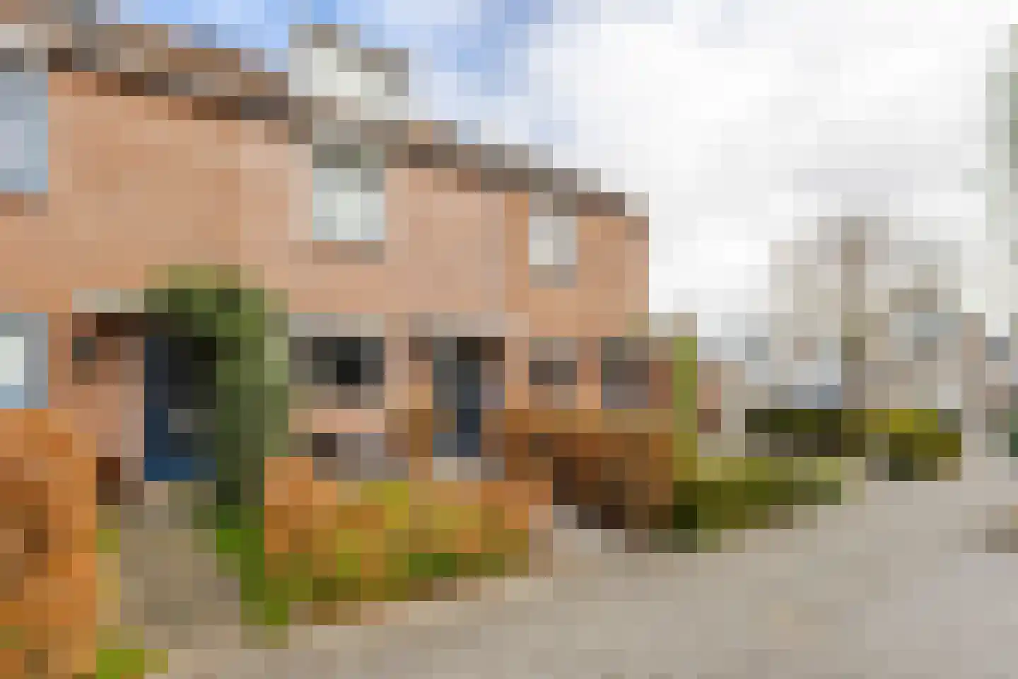 Dopheide 36 Heerenveen thumbnail 54
