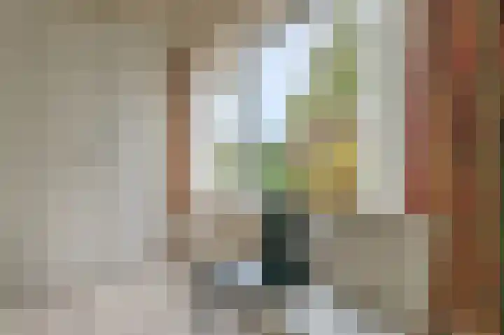 Dopheide 36 Heerenveen thumbnail 59