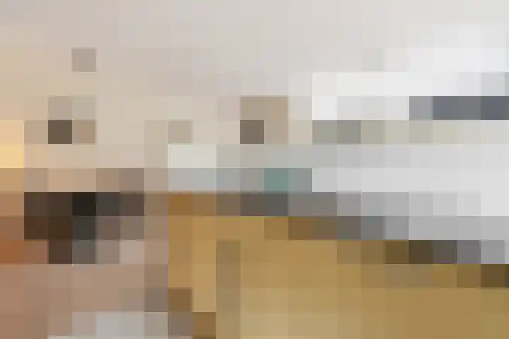 Dopheide 36 Heerenveen thumbnail 62