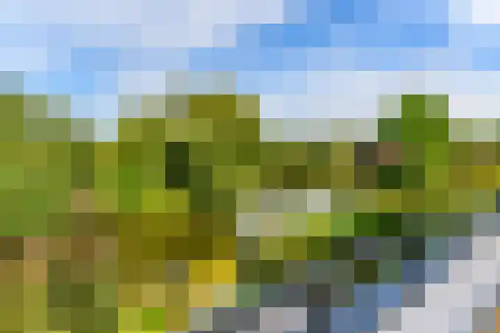 Dopheide 36 Heerenveen thumbnail 77
