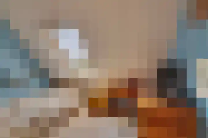 Dopheide 5 Sleen thumbnail 19