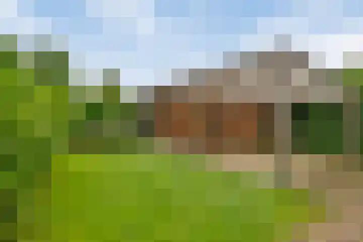 Dopheide 5 Sleen thumbnail 27