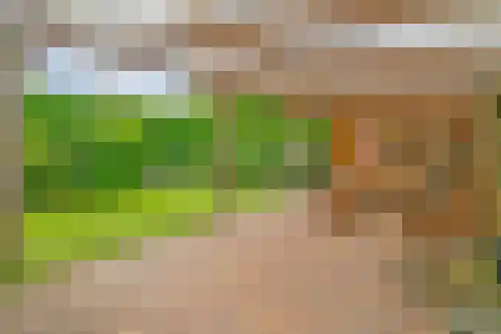 Dopheide 5 Sleen thumbnail 29