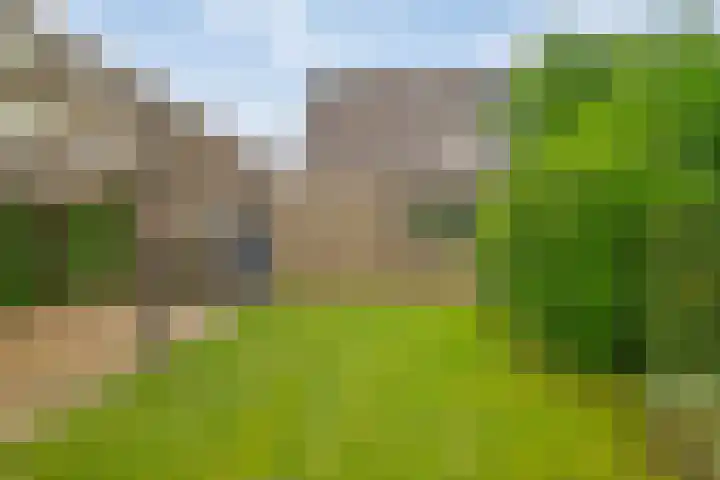 Dopheide 5 Sleen thumbnail 30