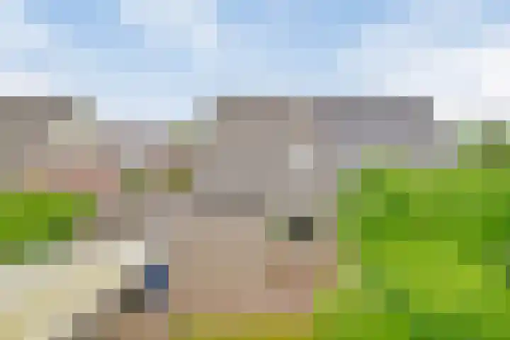 Dopheide 5 Sleen thumbnail 31