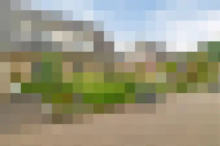 Dopheide 5 Sleen thumbnail 32