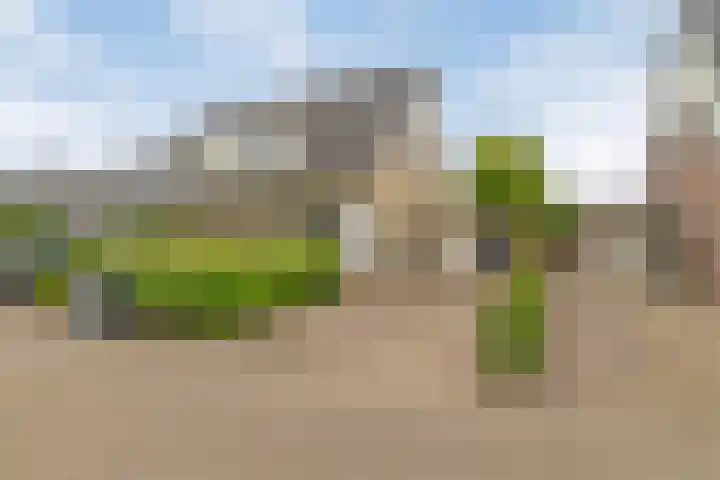 Dopheide 5 Sleen thumbnail 33