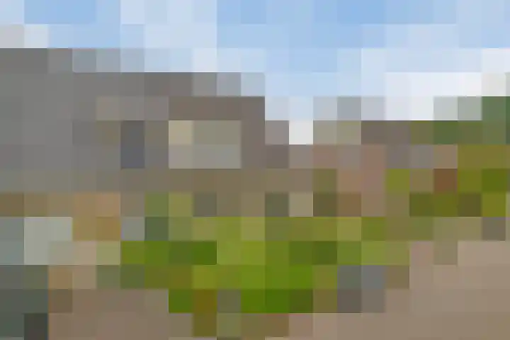 Dopheide 5 Sleen thumbnail 34