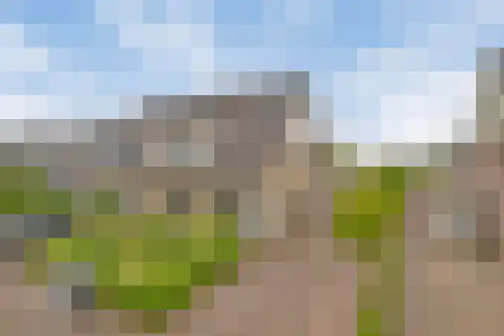 Dopheide 5 Sleen thumbnail 35