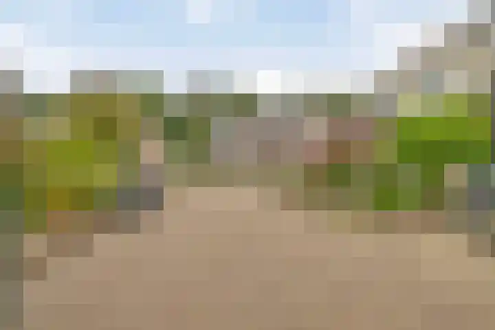 Dopheide 5 Sleen thumbnail 36