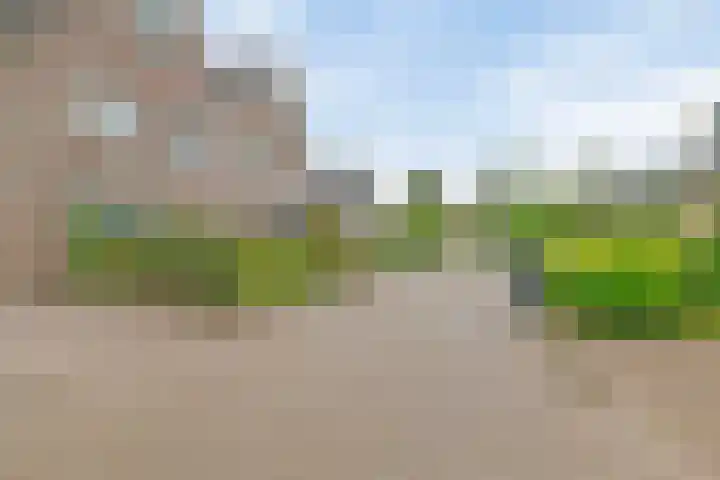 Dopheide 5 Sleen thumbnail 37