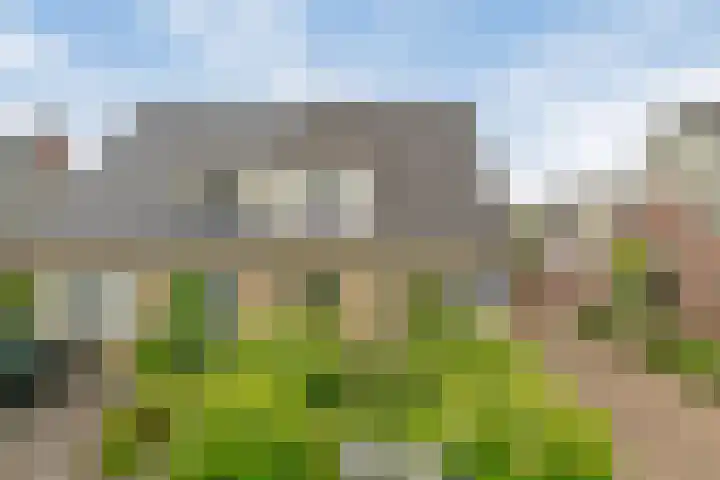 Dopheide 5 Sleen thumbnail 4
