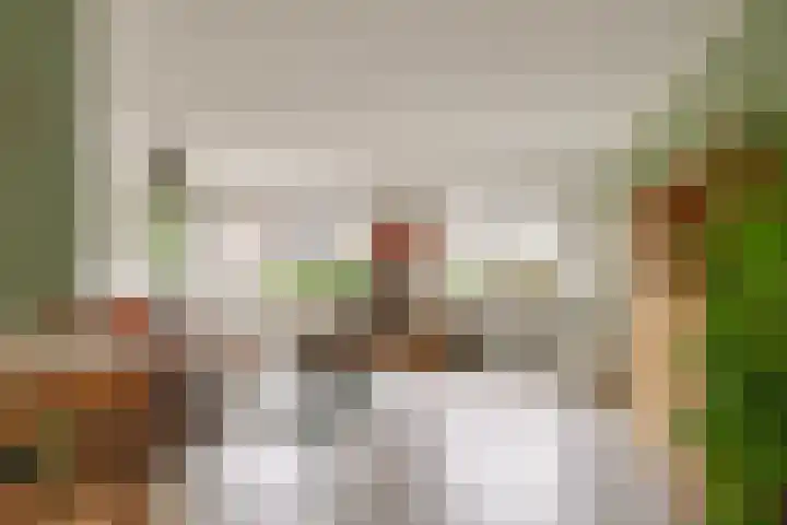 Dopheide 5 Sleen thumbnail 6