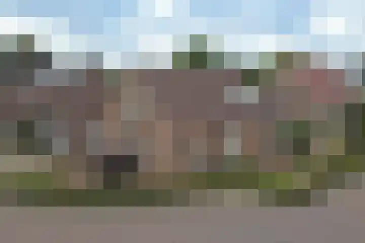 Dopheide 7 in Meijel