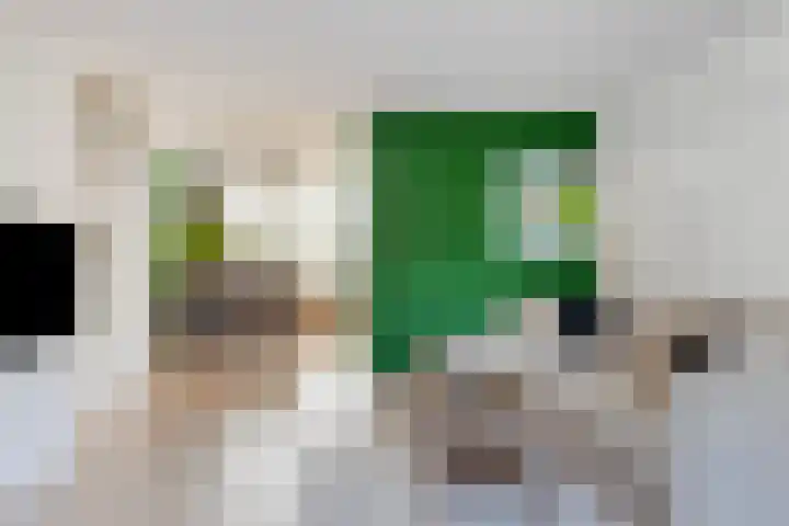 Dopheidebeemd 17 Valkenswaard thumbnail 8