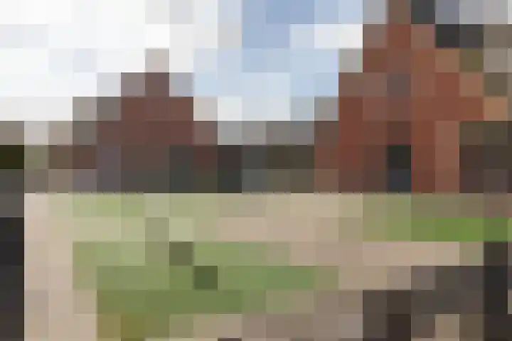Dopheigang 8 Kortenhoef thumbnail 24