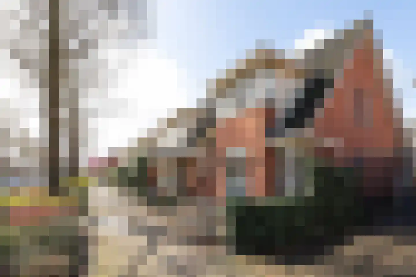 Dopheigang 8 Kortenhoef thumbnail 34