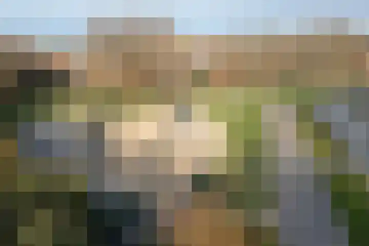 Doppersingel 12 's-Gravenzande thumbnail 33