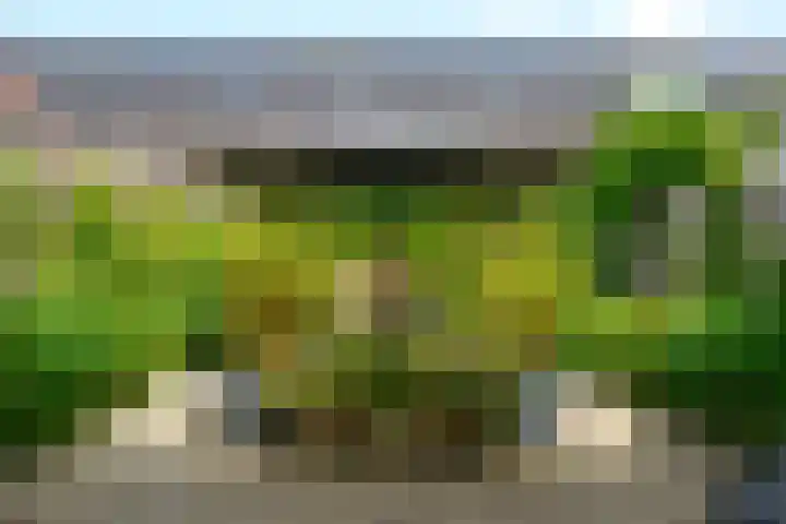 Dopsingel 7 Eemnes thumbnail 12