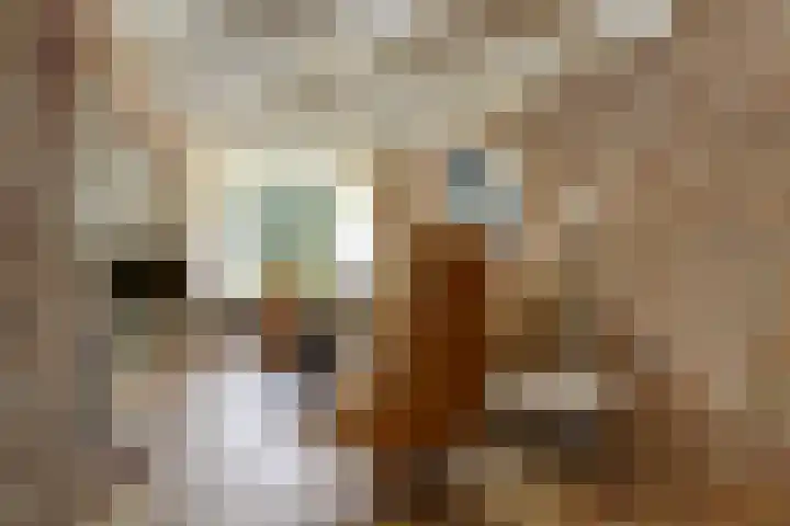 Dorenbos 33 Alphen thumbnail 14