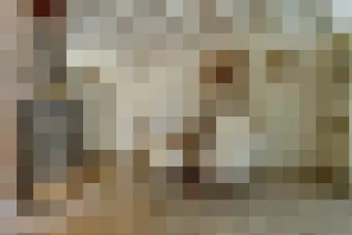 Dorenbos 33 Alphen thumbnail 19