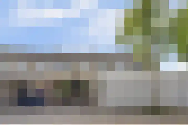 Dorenbos 33 Alphen thumbnail 40
