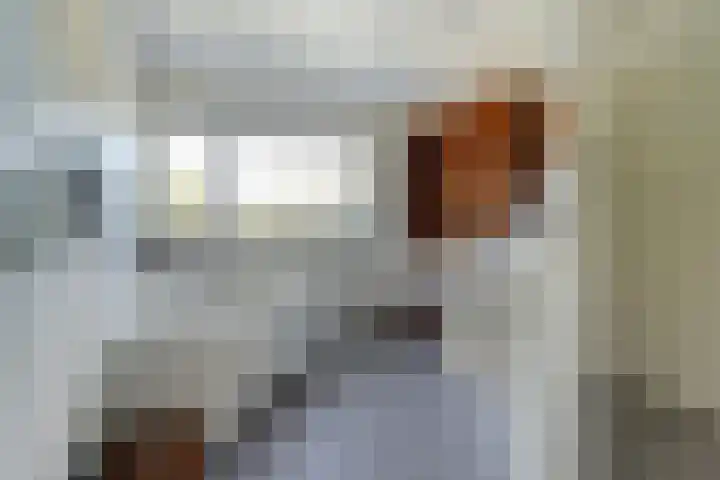 Dorenbos 33 Alphen thumbnail 6