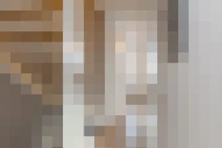 Doris Lessinglaan 86 Den Haag thumbnail 25