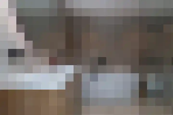 Doris Lessinglaan 86 Den Haag thumbnail 31