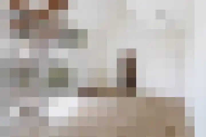 Dorp 223 Benschop thumbnail 11