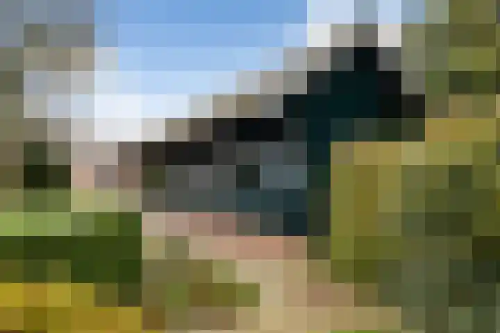Dorp 223 Benschop thumbnail 19