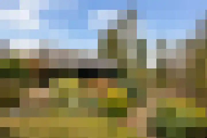 Dorp 223 Benschop thumbnail 20