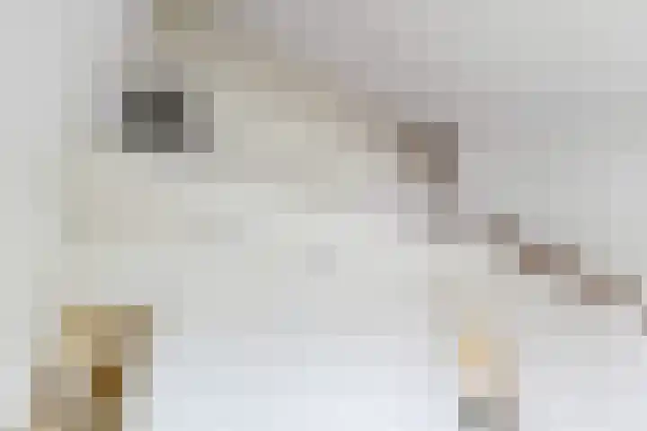 Dorp 223 Benschop thumbnail 21