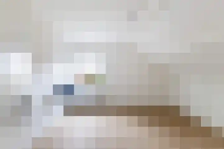 Dorp 223 Benschop thumbnail 23
