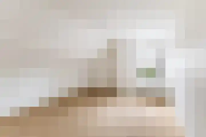 Dorp 223 Benschop thumbnail 24