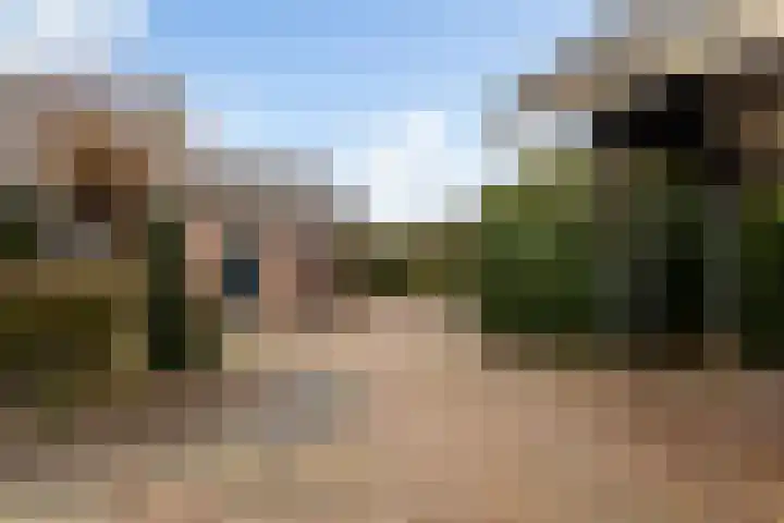 Dorp 223 Benschop thumbnail 38