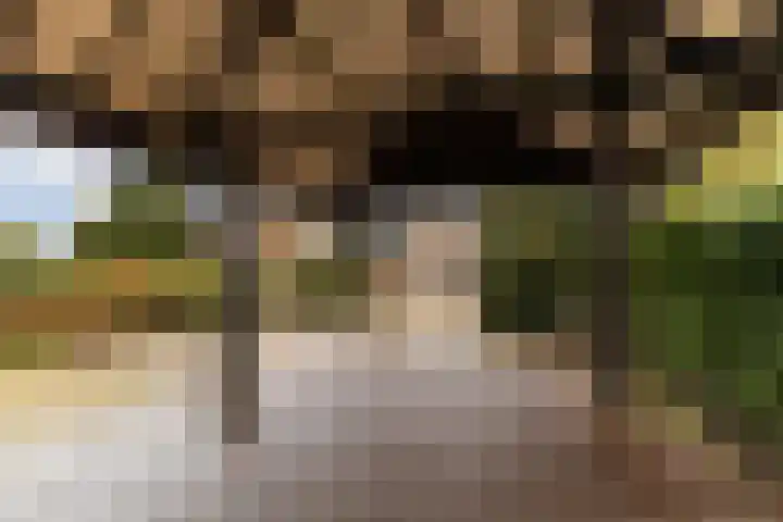Dorp 223 Benschop thumbnail 39