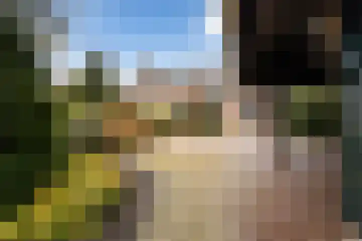 Dorp 223 Benschop thumbnail 40