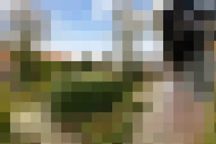 Dorp 223 Benschop thumbnail 41