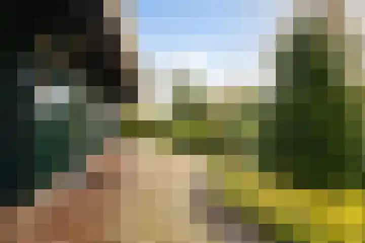 Dorp 223 Benschop thumbnail 42