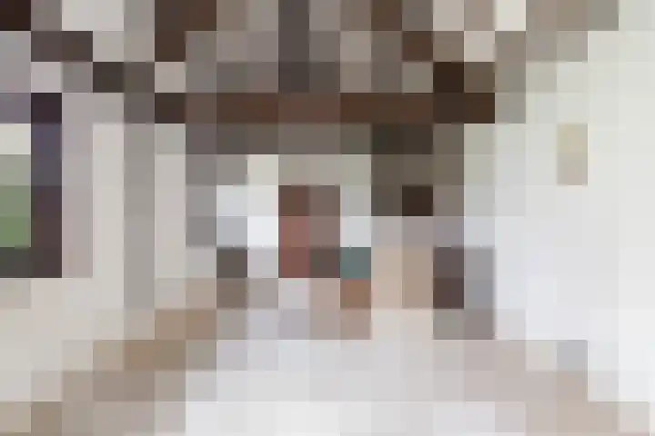 Dorp 223 Benschop thumbnail 44