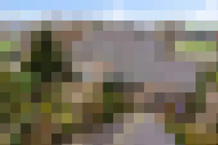 Dorp 223 Benschop thumbnail 48