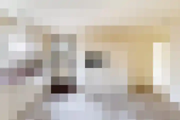 Dorp 223 Benschop thumbnail 5