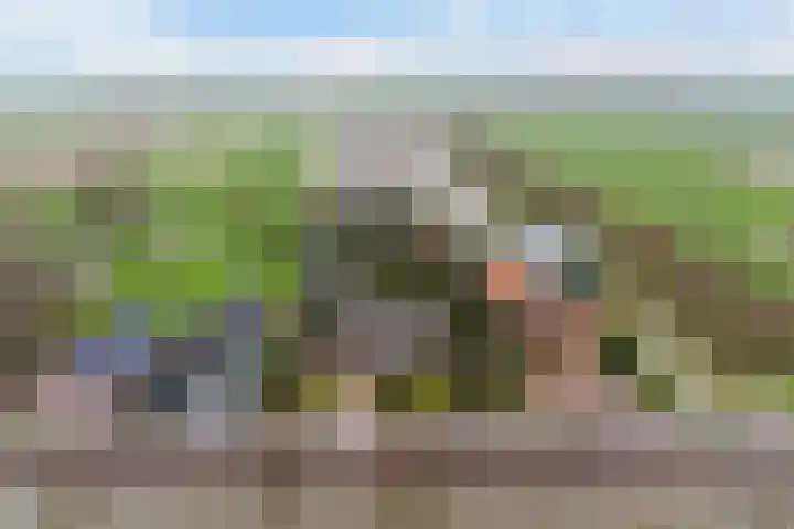 Dorp 223 Benschop thumbnail 50